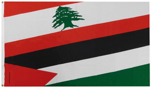 هيئة إدارية جديدة للجنة السلم والتضامن اللبنانية