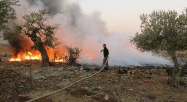 الاحتلال ومستوطنوه يحرقون أشجار زيتون وحقول شمالي الضفة