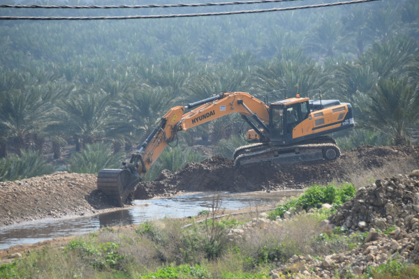 الاحتلال اقتلع 130 شجرة مثمرة في مناطق الضفة خلال فبراير الماضي